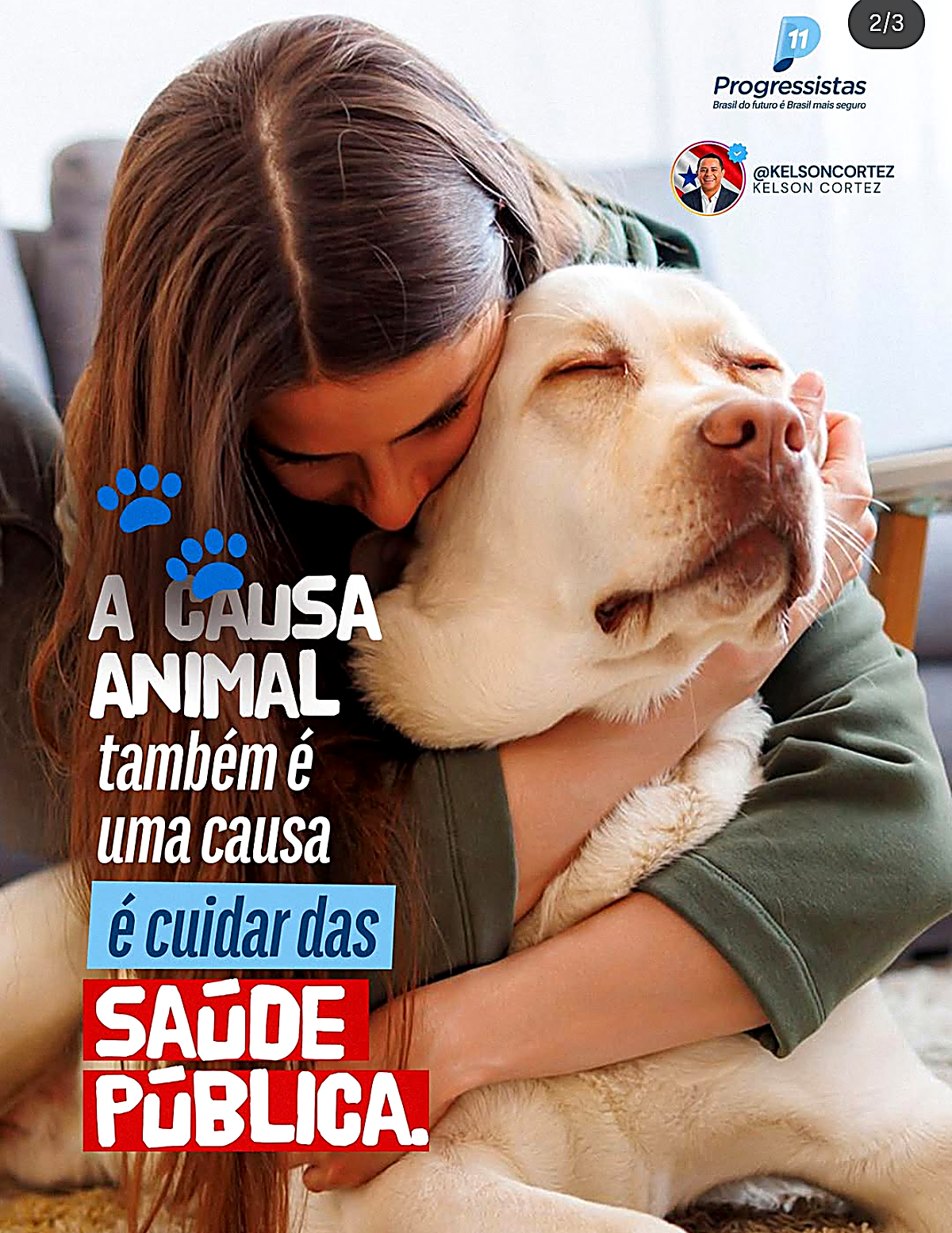 Peça de campanha: a causa animal também é cuidar da saúde pública